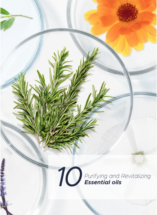 Phyto مركز توازن تقوية النباتات - 30 مل - Image 3